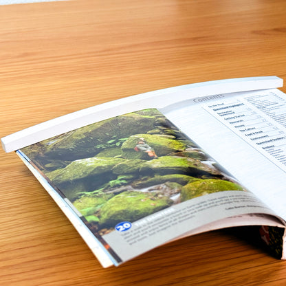 【日本製】ブックウェイト（読書文鎮）- Bridge